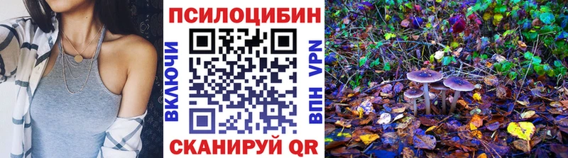 Псилоцибиновые грибы мухоморы  купить наркоту  Ярцево 